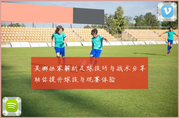 吴娜独家解析足球技巧与战术分享助你提升球技与观赛体验