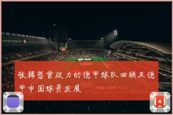 张稀哲曾效力的德甲球队回顾及德甲中国球员发展