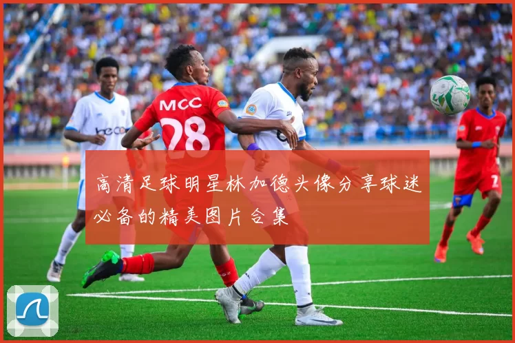 高清足球明星林加德头像分享球迷必备的精美图片合集