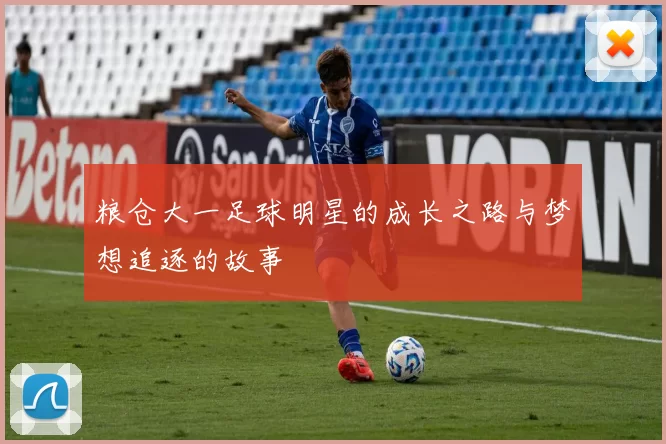 粮仓大一足球明星的成长之路与梦想追逐的故事