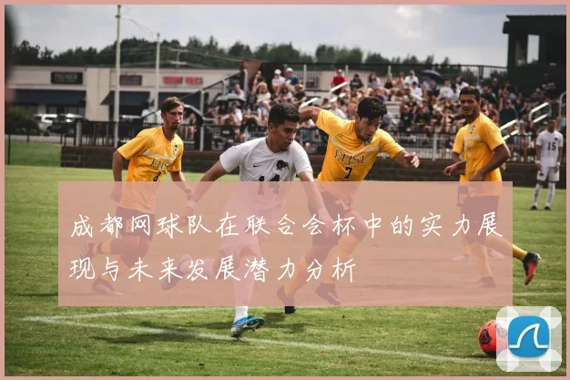 成都网球队在联合会杯中的实力展现与未来发展潜力分析