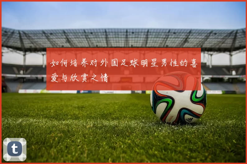 如何培养对外国足球明星男性的喜爱与欣赏之情