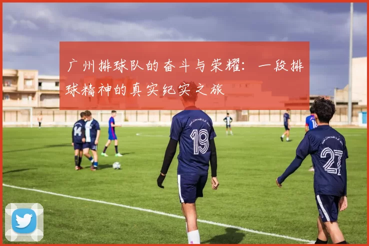 广州排球队的奋斗与荣耀：一段排球精神的真实纪实之旅