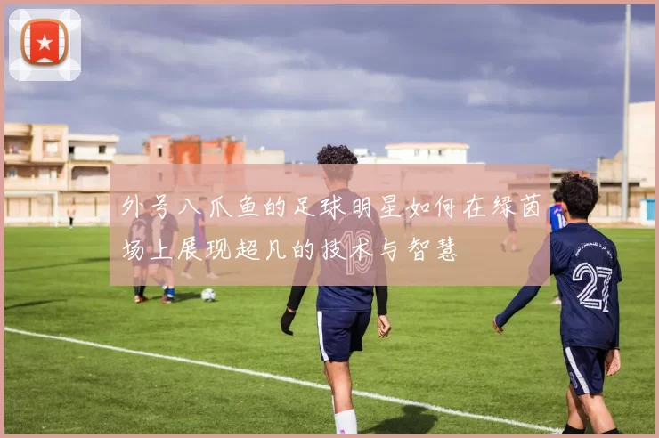 外号八爪鱼的足球明星如何在绿茵场上展现超凡的技术与智慧