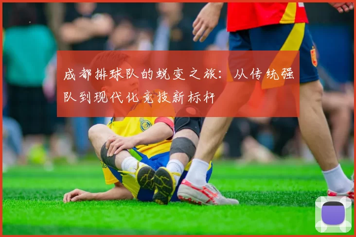 成都排球队的蜕变之旅：从传统强队到现代化竞技新标杆