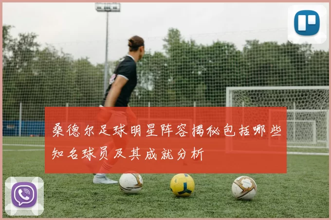 桑德尔足球明星阵容揭秘包括哪些知名球员及其成就分析