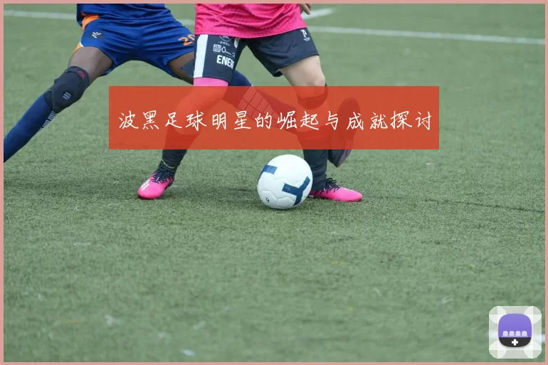 波黑足球明星的崛起与成就探讨