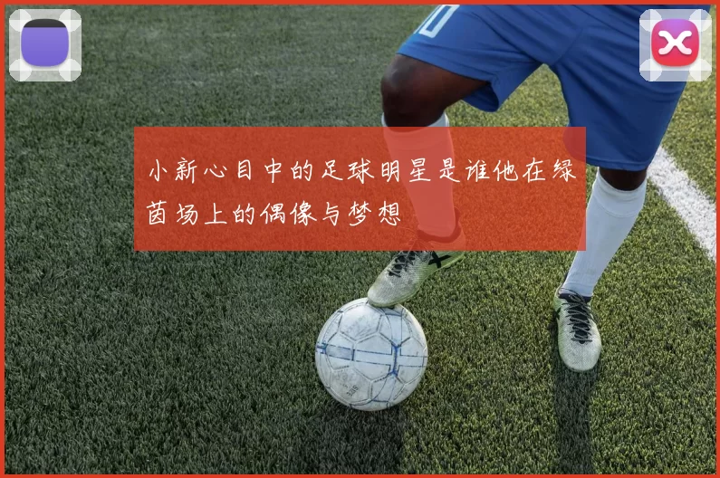 小新心目中的足球明星是谁他在绿茵场上的偶像与梦想
