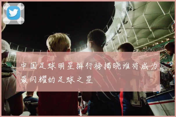 中国足球明星排行榜揭晓谁将成为最闪耀的足球之星