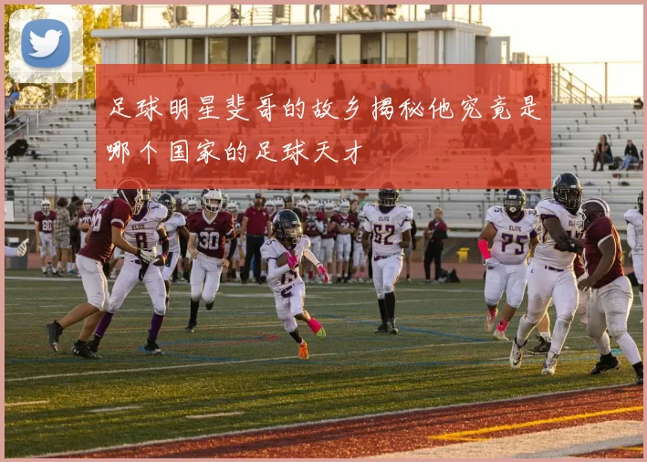 足球明星斐哥的故乡揭秘他究竟是哪个国家的足球天才