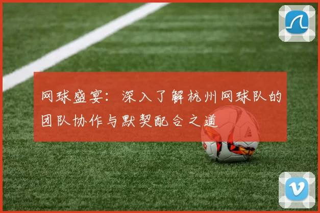 网球盛宴：深入了解杭州网球队的团队协作与默契配合之道