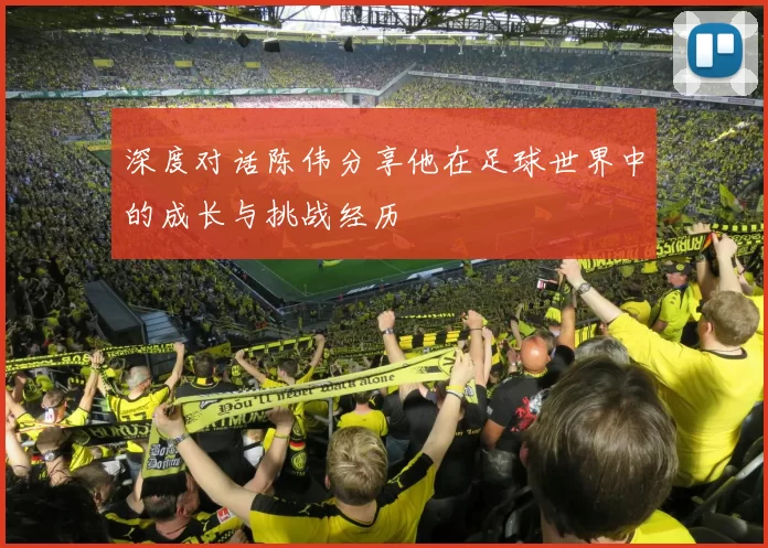 深度对话陈伟分享他在足球世界中的成长与挑战经历
