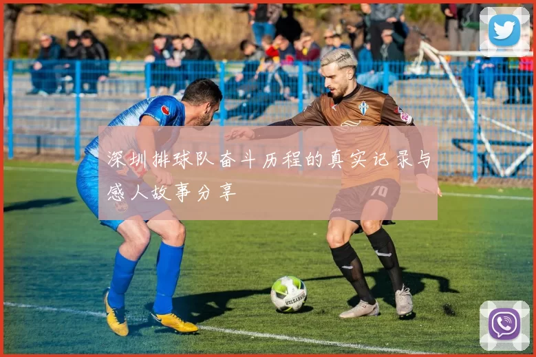 深圳排球队奋斗历程的真实记录与感人故事分享