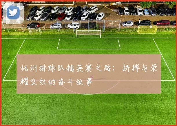 杭州排球队精英赛之路：拼搏与荣耀交织的奋斗故事