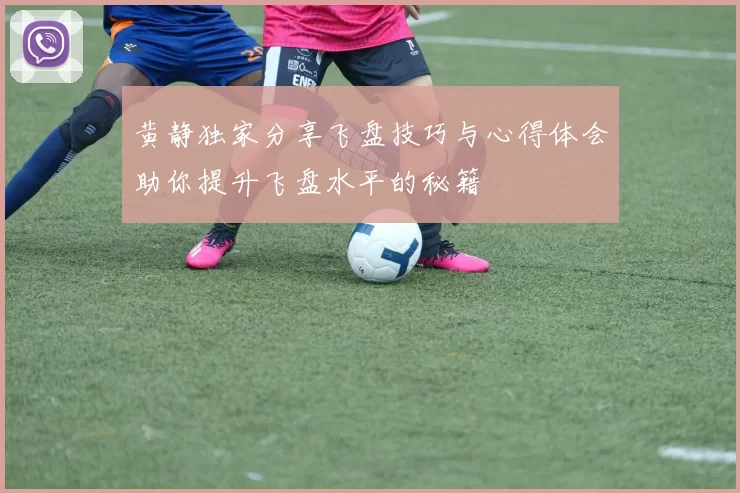 黄静独家分享飞盘技巧与心得体会助你提升飞盘水平的秘籍