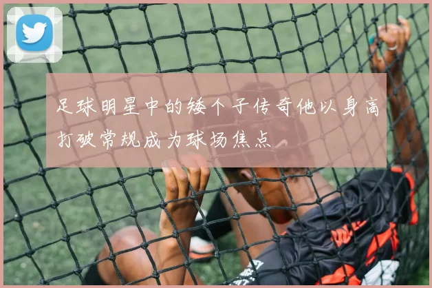 足球明星中的矮个子传奇他以身高打破常规成为球场焦点