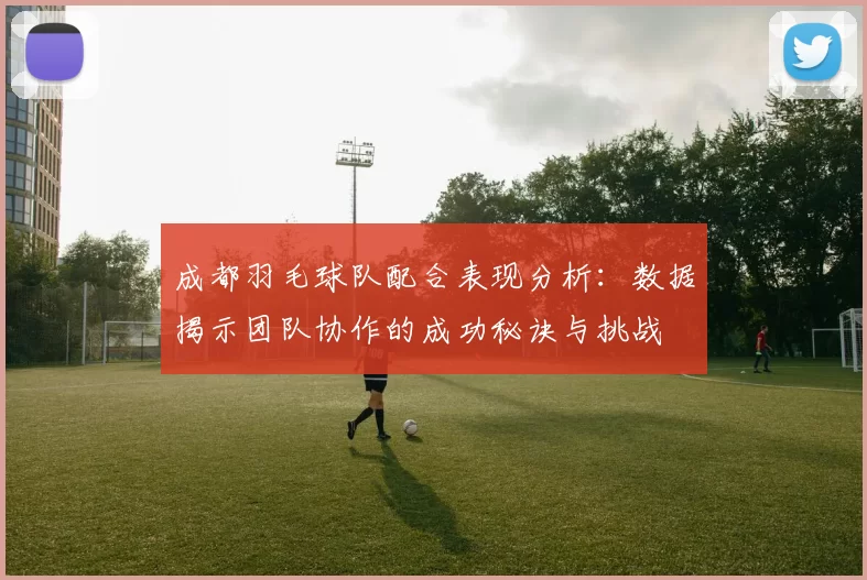 成都羽毛球队配合表现分析：数据揭示团队协作的成功秘诀与挑战