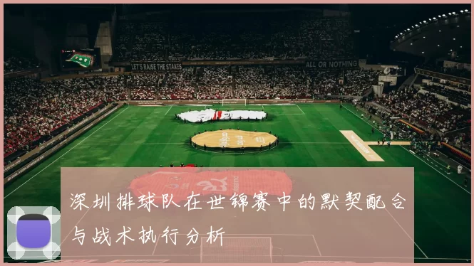 深圳排球队在世锦赛中的默契配合与战术执行分析