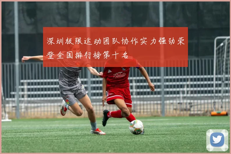 深圳极限运动团队协作实力强劲荣登全国排行榜第十名