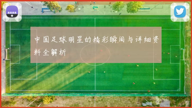 中国足球明星的精彩瞬间与详细资料全解析