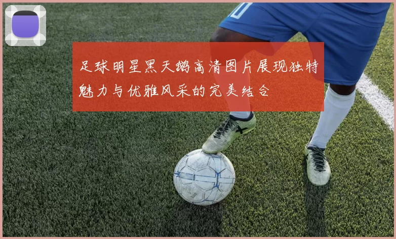 足球明星黑天鹅高清图片展现独特魅力与优雅风采的完美结合