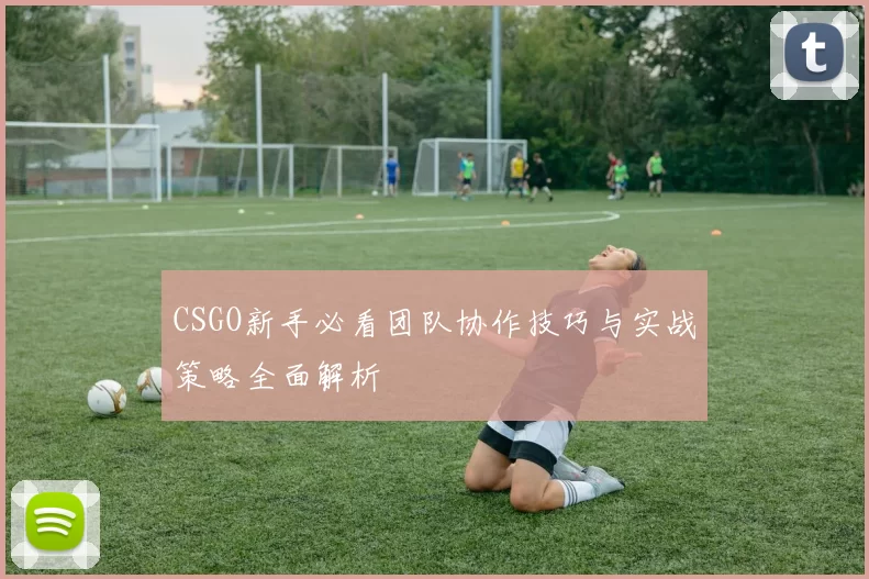 CSGO新手必看团队协作技巧与实战策略全面解析