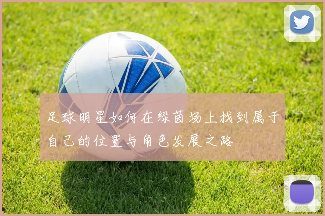 足球明星如何在绿茵场上找到属于自己的位置与角色发展之路