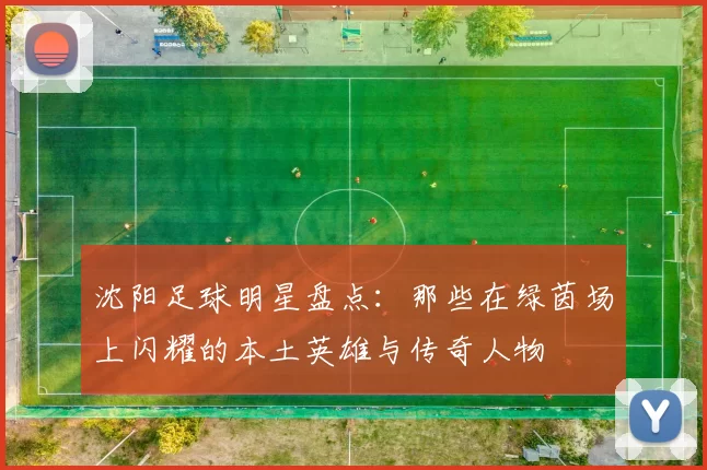 沈阳足球明星盘点：那些在绿茵场上闪耀的本土英雄与传奇人物