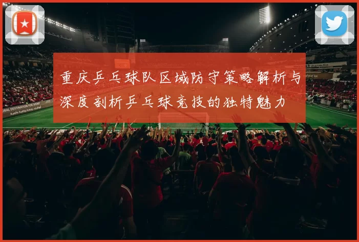 重庆乒乓球队区域防守策略解析与深度剖析乒乓球竞技的独特魅力