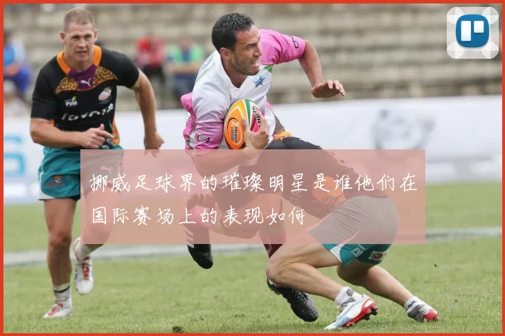 挪威足球界的璀璨明星是谁他们在国际赛场上的表现如何