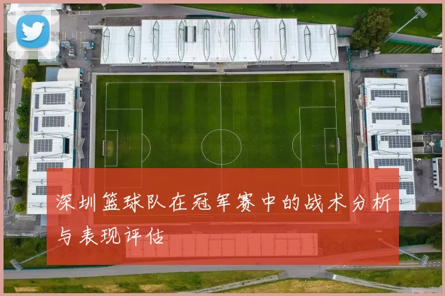 深圳篮球队在冠军赛中的战术分析与表现评估