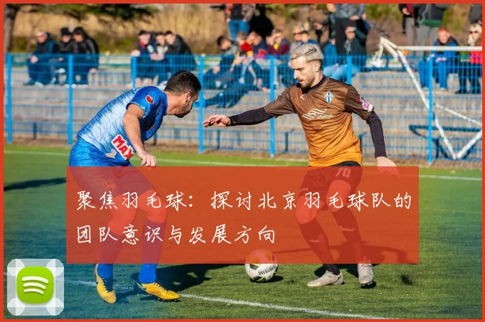 聚焦羽毛球：探讨北京羽毛球队的团队意识与发展方向