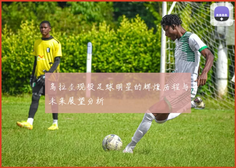 乌拉圭现役足球明星的辉煌历程与未来展望分析