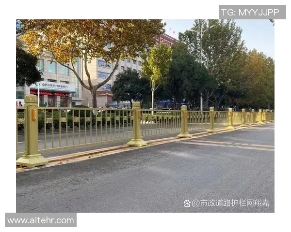 提升道路安全与美观作用的交通护栏设计与应用分析