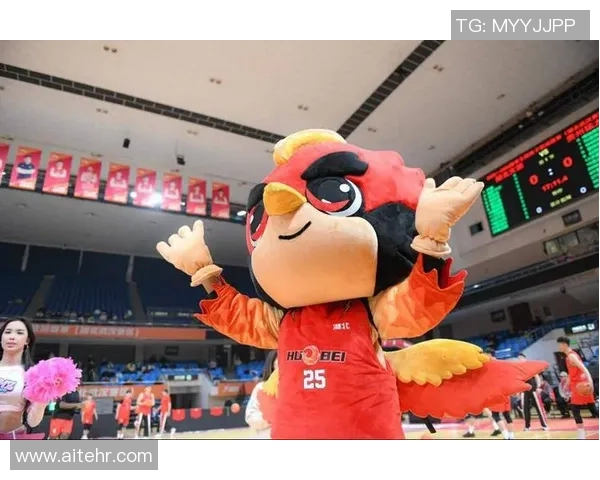 湖北CBA球队：湖北队的历史背景与球队发展