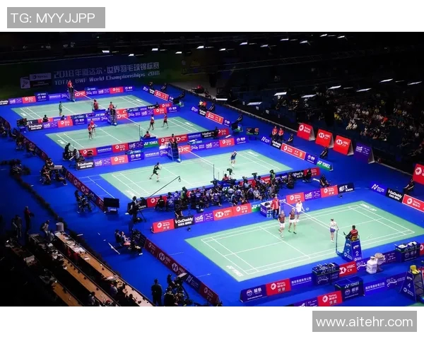 南京羽毛球队在锦标赛中的技术表现分析与点评