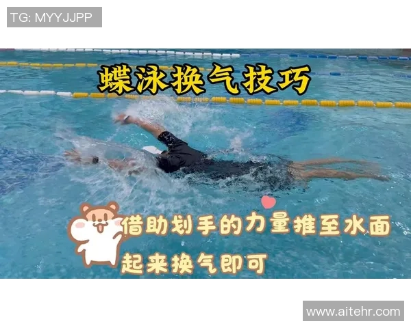 蝶泳比赛规则详解与技巧分析：从起跳到触壁的全程规范解析