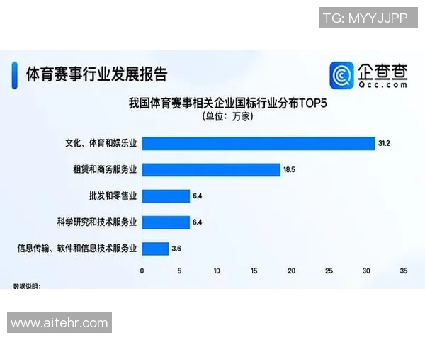 职业联赛发展趋势与全球体育产业互动的深度分析与展望